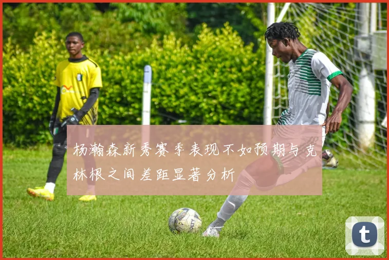 杨瀚森新秀赛季表现不如预期与克林根之间差距显著分析